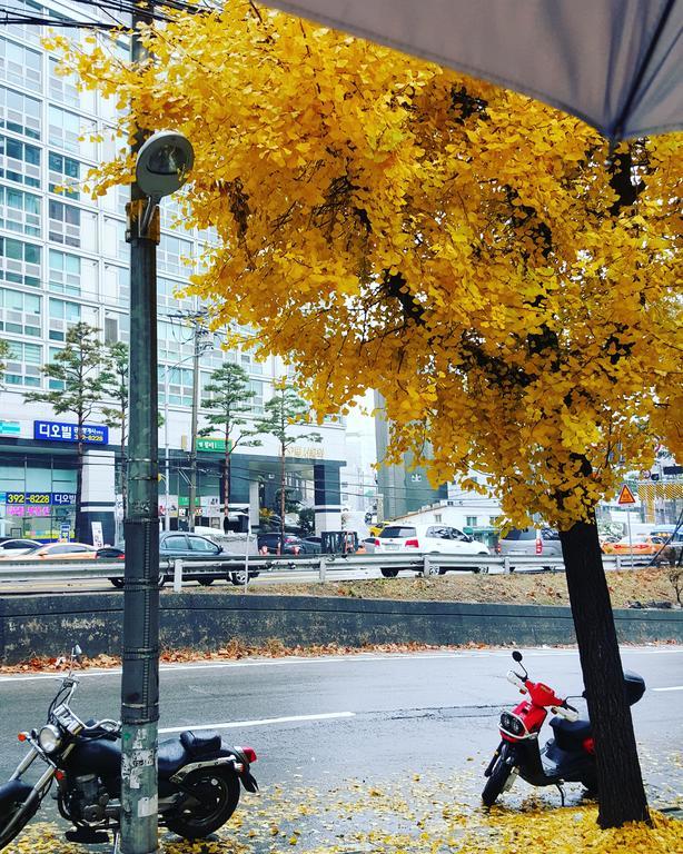 Feliz Guesthouse, Seoul Station Экстерьер фото